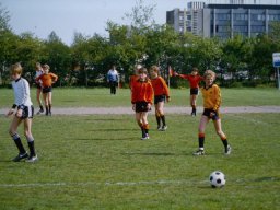 0DIA 1984 RAVA PUPS 1
